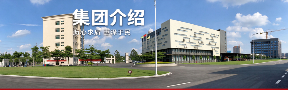 集团介绍